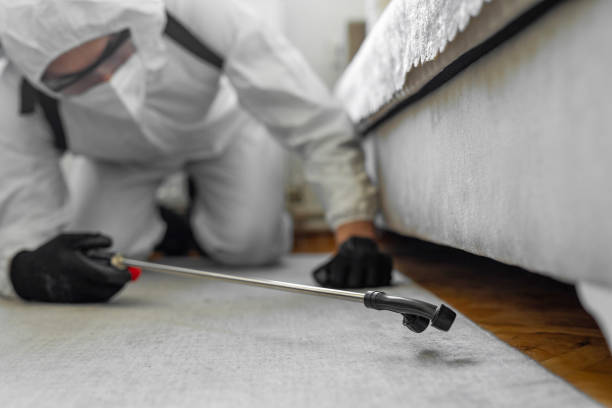 Professional Termite Control technician working in Olivet, NJ