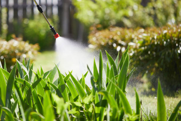 24/7 Emergency Termite Control experts in Olivet, NJ