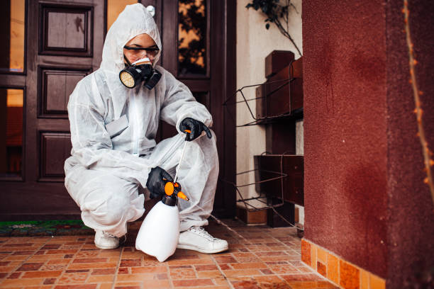 Reliable Termite Control contractor in Olivet, NJ by Nex Pest Control