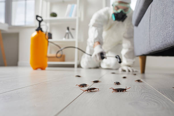Trusted Termite Control service in Olivet, NJ - Nex Pest Control