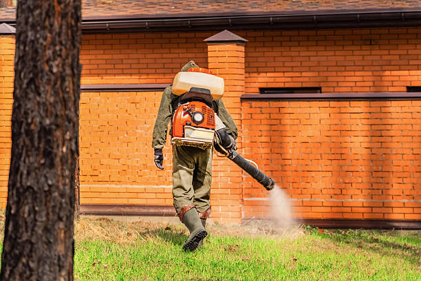 Trusted Cockroach Control service in Olivet, NJ - Nex Pest Control